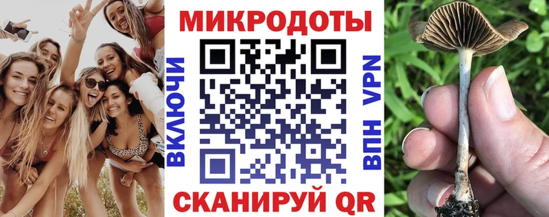 Галлюциногенные грибы Cubensis  купить   Горно-Алтайск 